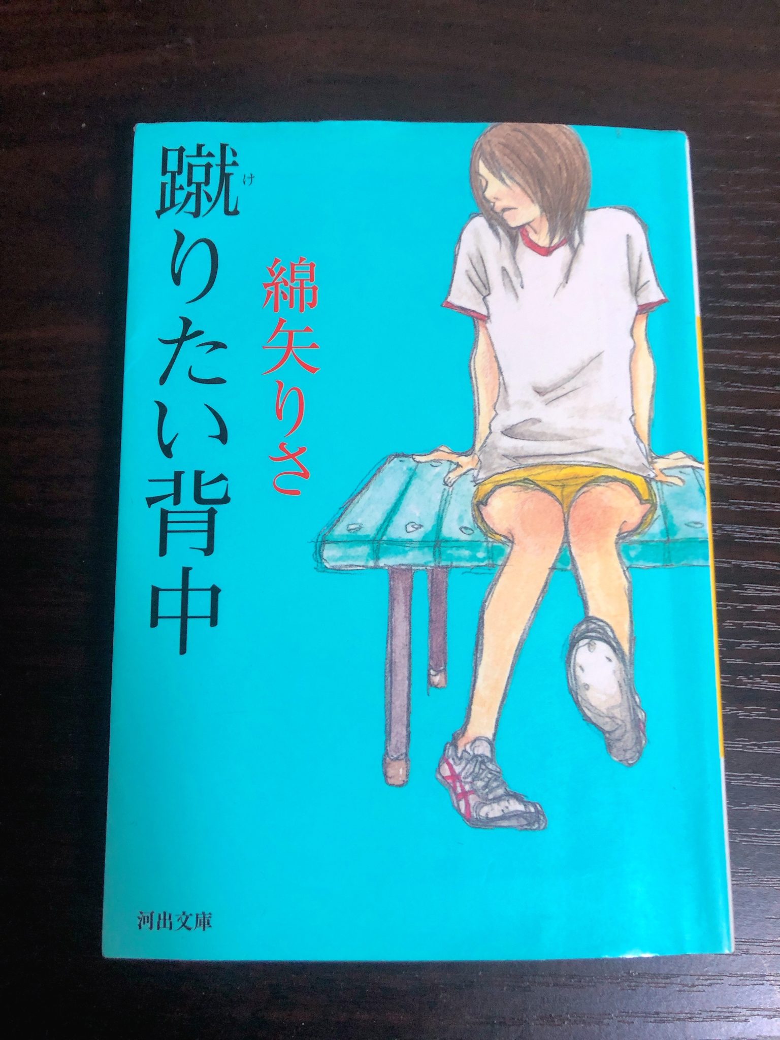 【芥川賞】蹴りたい背中のあらすじ+感想を解説!←ダークな青春小説 WRITING MY LIFE